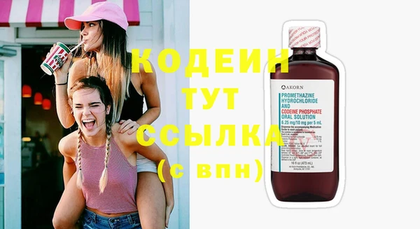 индика Кукмор