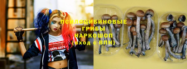 гидропоника Абдулино