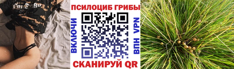 Псилоцибиновые грибы GOLDEN TEACHER мега ONION Ленинградская